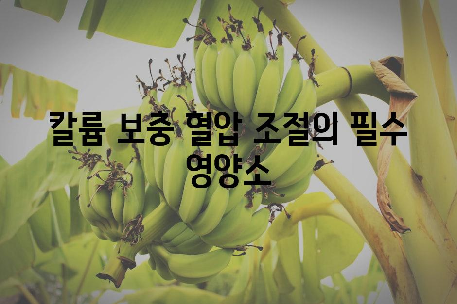 칼륨 보충 혈압 조절의 필수 영양소