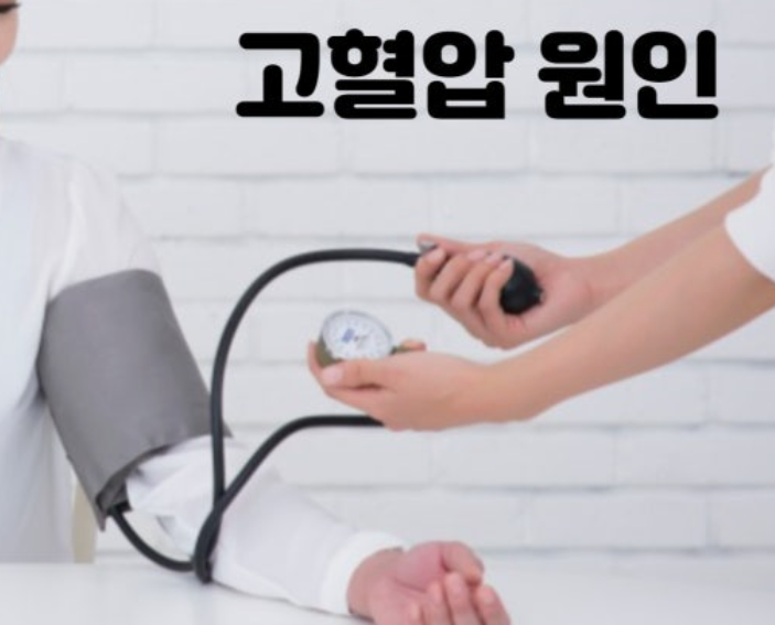 고혈압 원인