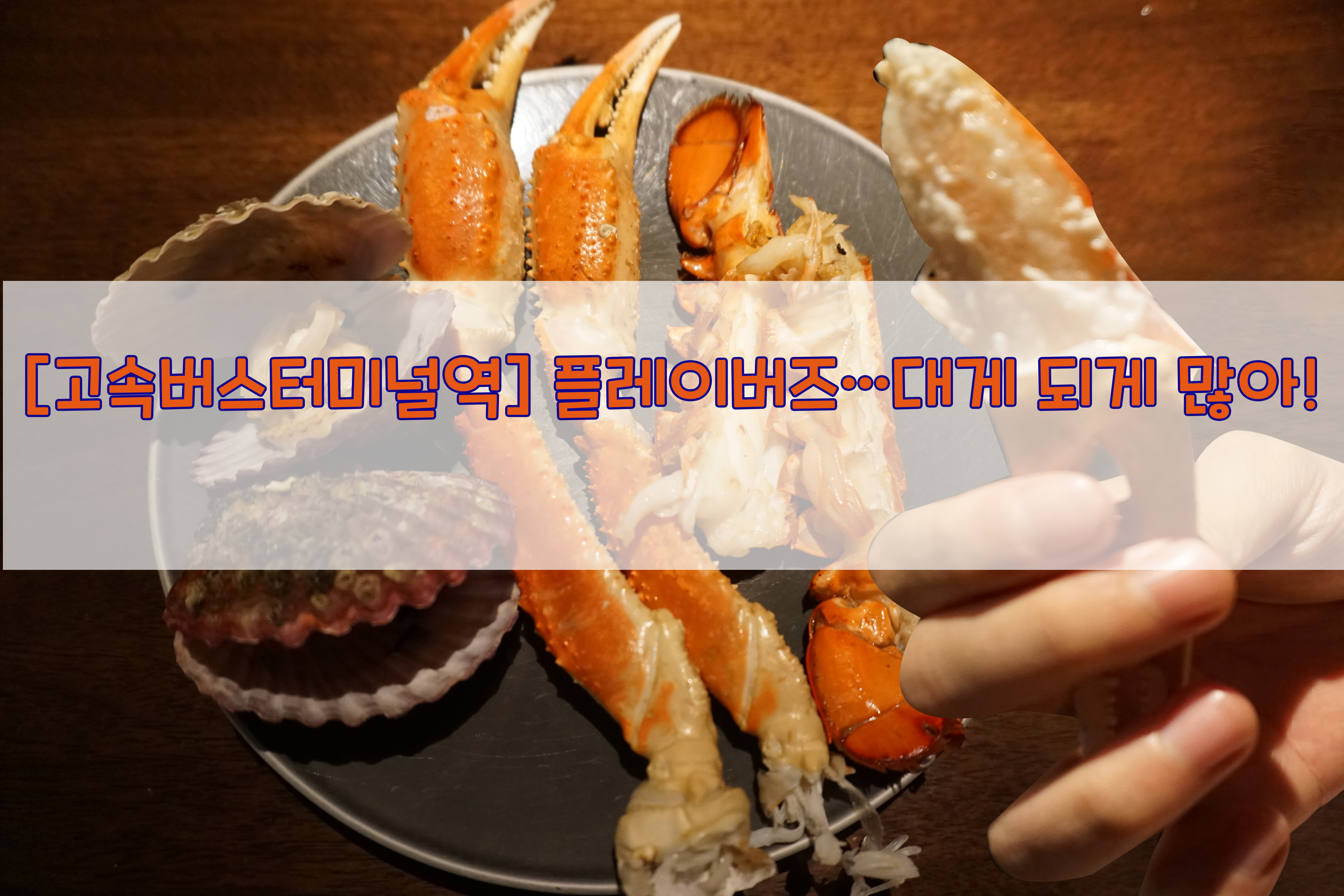  [고속버스터미널역] 플레이버즈…대게 되게 많아!