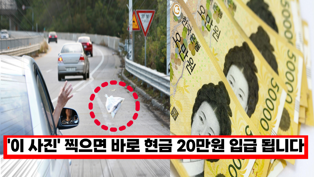  '이 사진' 찍으면 바로 현금 20만원을 줍니다. 잊지말고 이 사진 꼭 찍으세요.