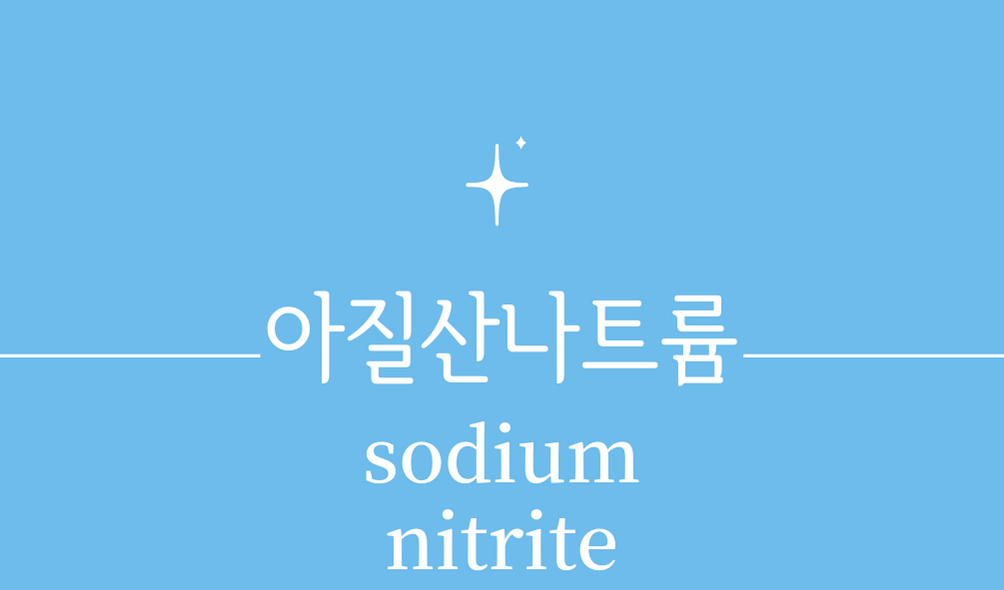 &#39;아질산나트륨(sodium nitrite)&#39;