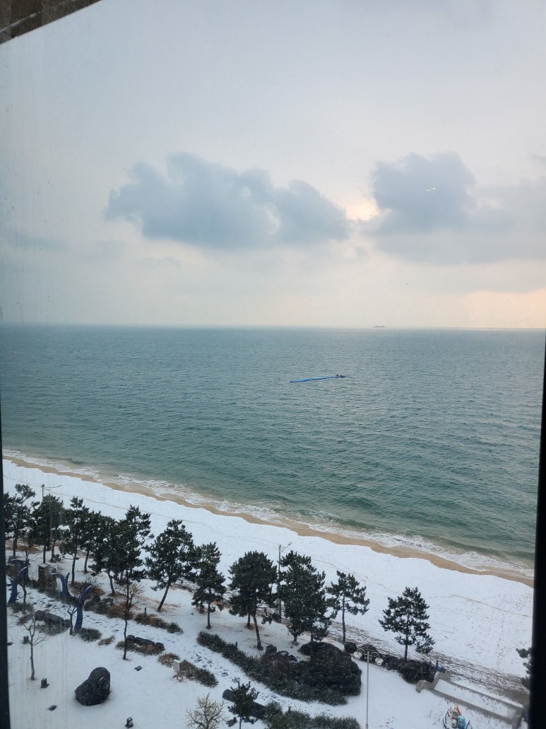 여행 (1) -데이나이스 호텔 22/01/19~20 서해 대천 10