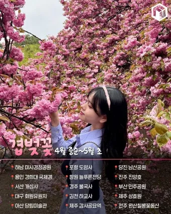 전국 겹벚꽃 명소 베스트 10 관광지_22