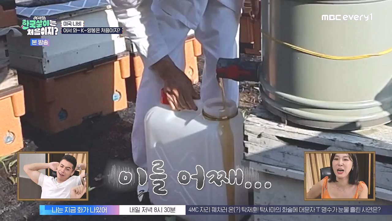 어서와 한국살이는 처음이지.E16.230905p-NEXT.mp4_20230906_204037.282.jpg