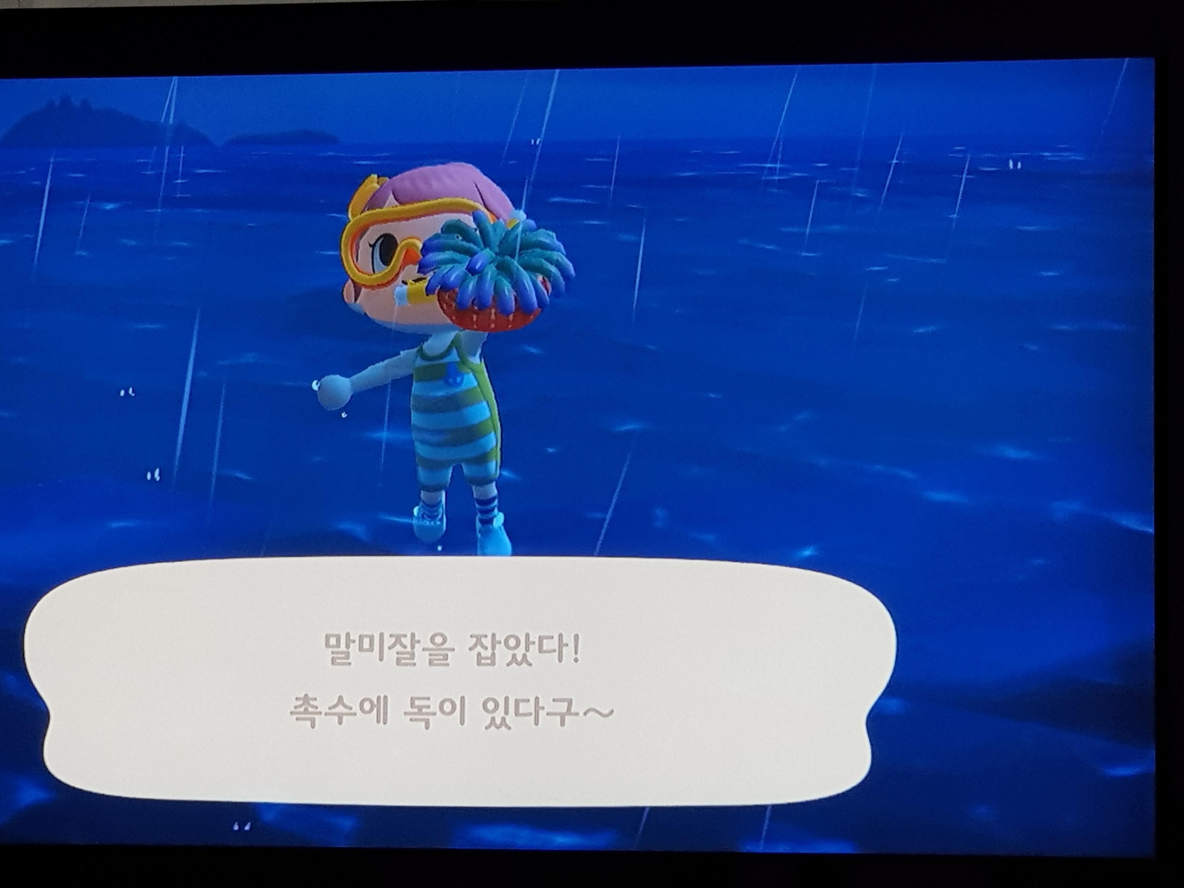  동물의 숲 연동  권한 안될때 간단