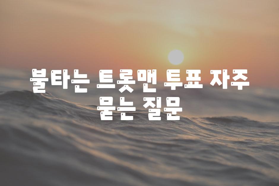 불타는 트롯맨 투표 자주 묻는 질문