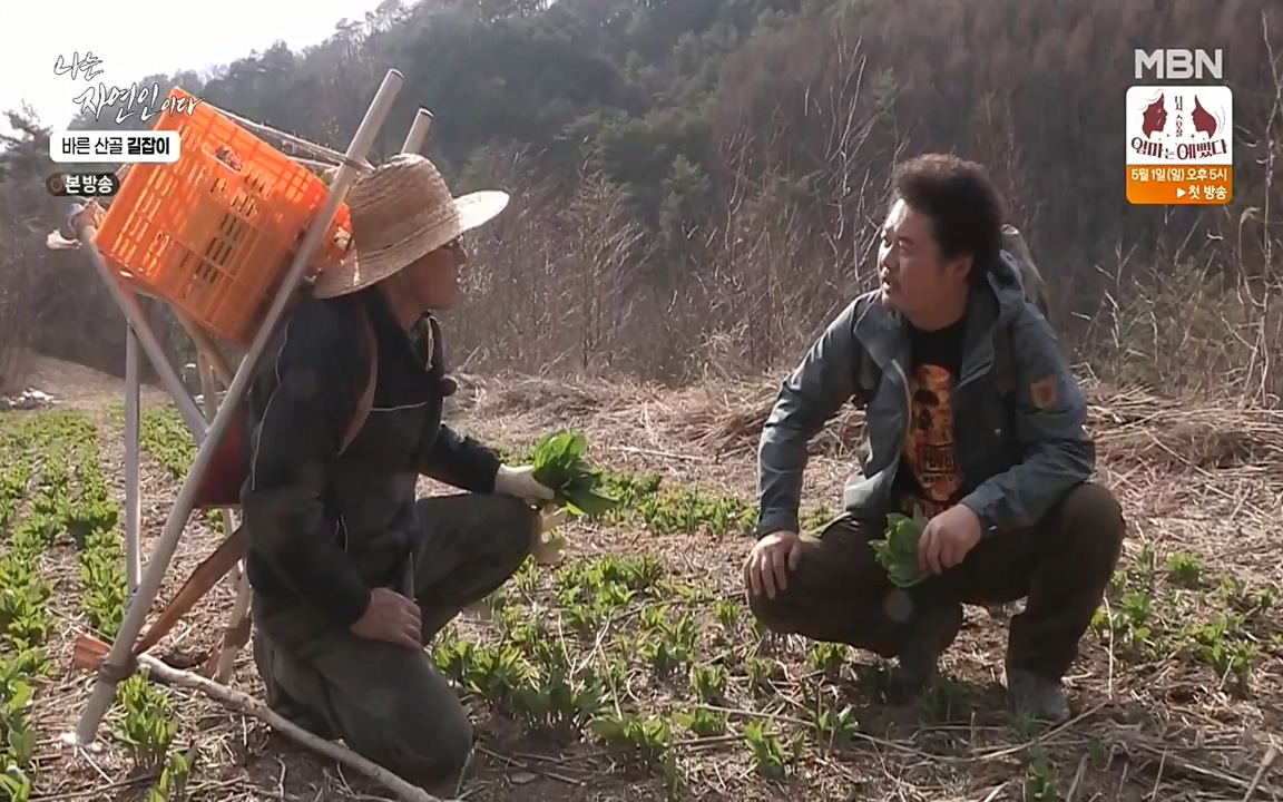 나는 자연인이다.E499.220428p-NEXT.mp4_20220428_175944.360.jpg
