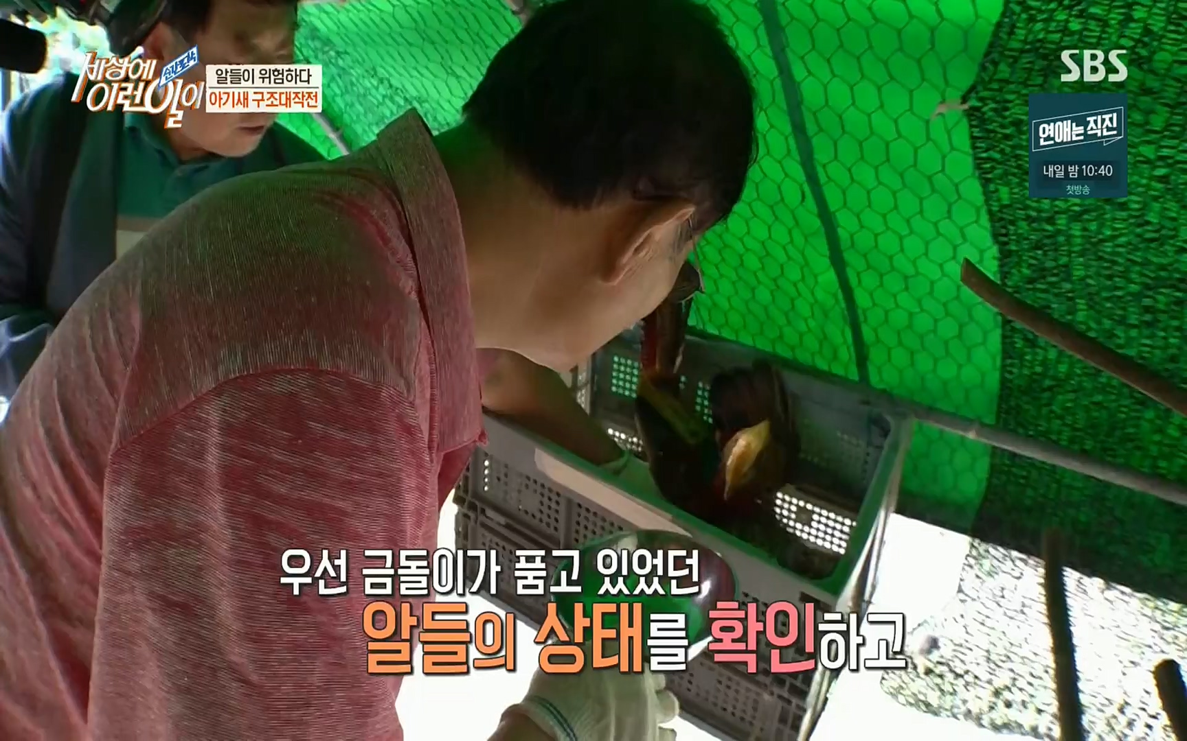 순간포착 세상에 이런일이.E1191.220802p.H264-F1RST.mp4_20220803_202133.560.jpg