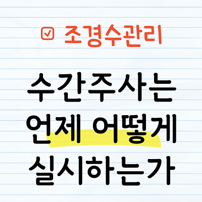 수간주사는 언제 어떻게 실시하는가