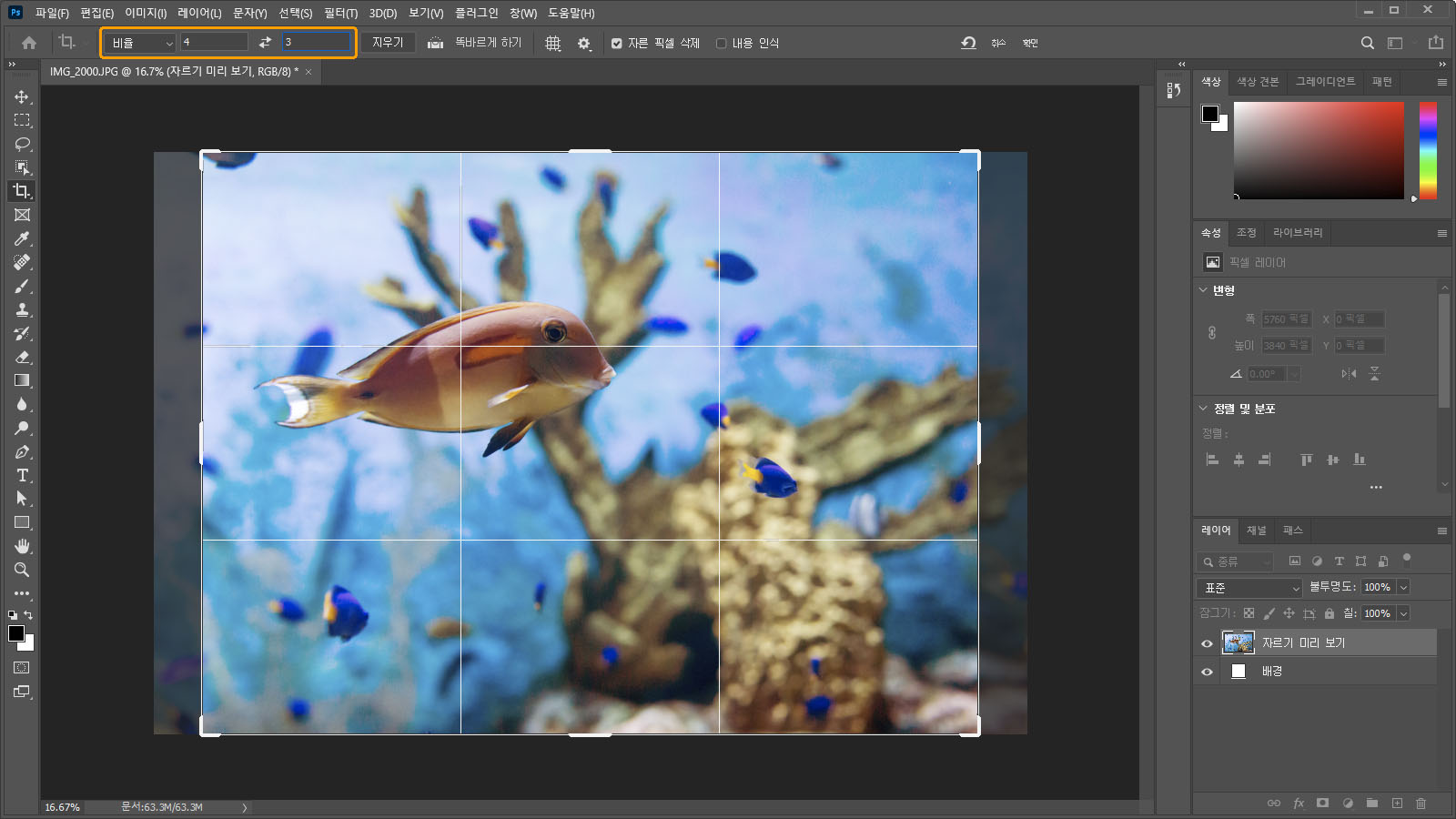 비율 입력 방법