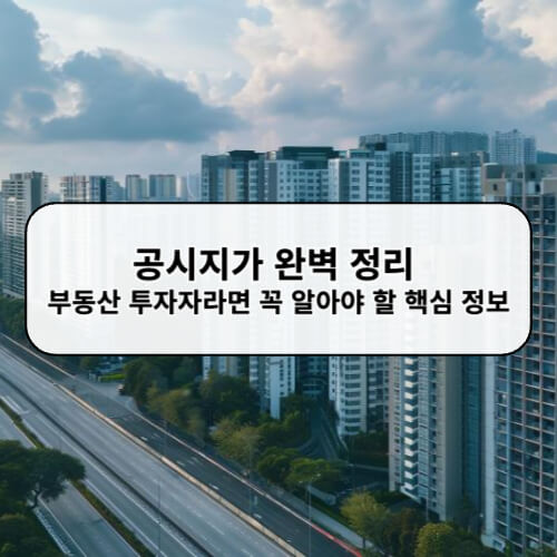 공시지가 완벽 정리 부동산 투자자라면 꼭 알아야 할 핵심 정보