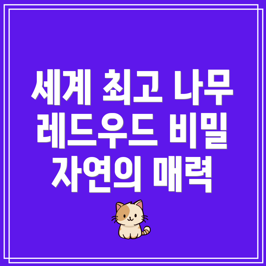 레드우드