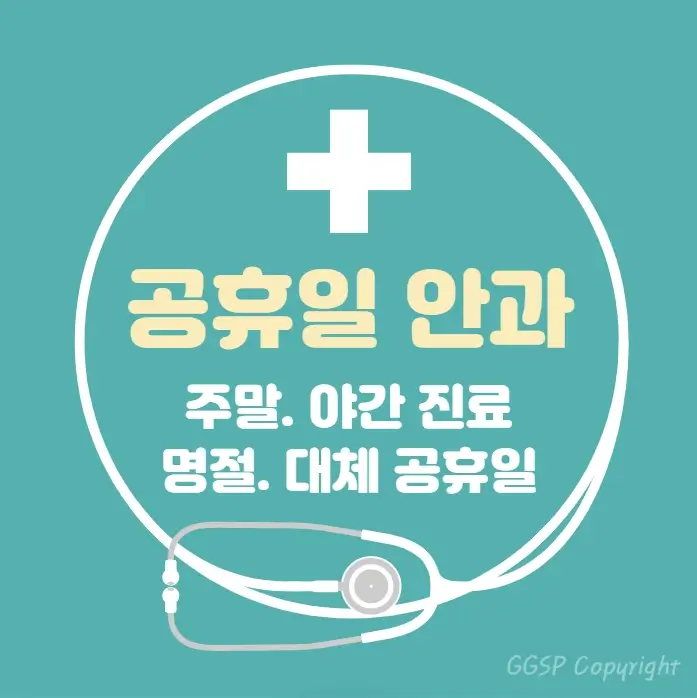  공휴일 24시간 병원 안과 | 대체공휴일 진료 당직병원 찾기
