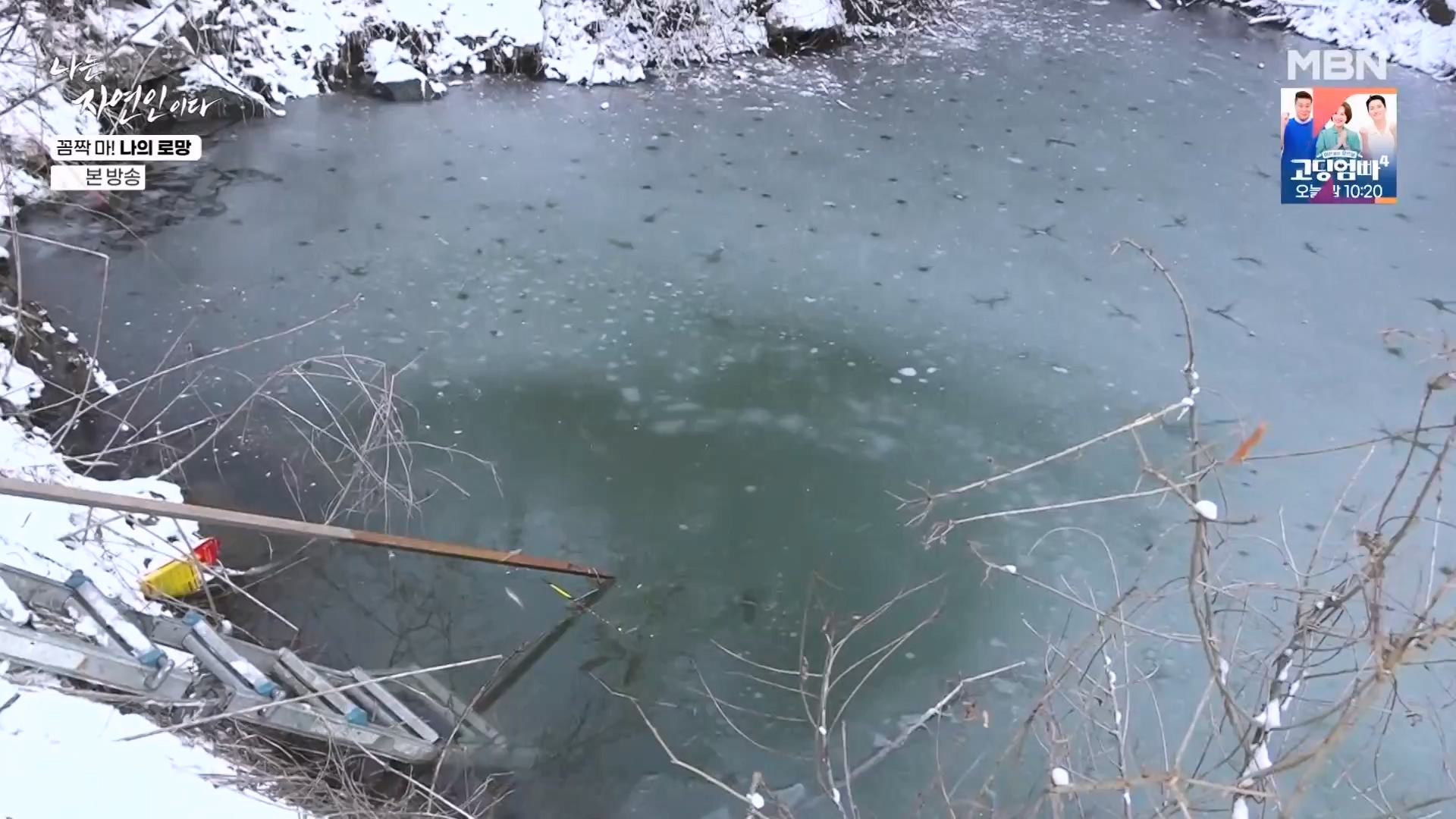 나는 자연인이다.E598.240320p-NEXT.mp4_20240321_202629.132.jpg