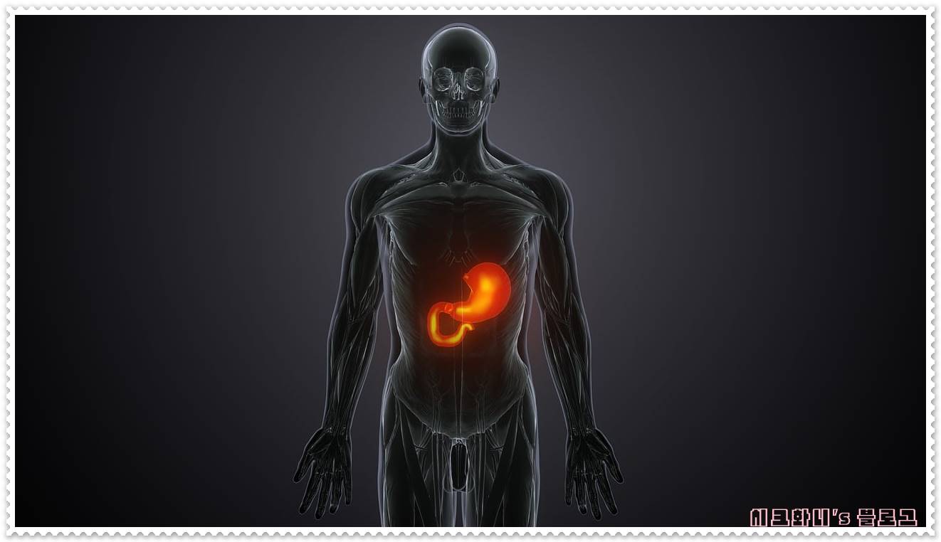  간이 안 좋을때 증상(지방간, 간염, 간경화, 간암 등) 술 끊으면 어떻게 될까?