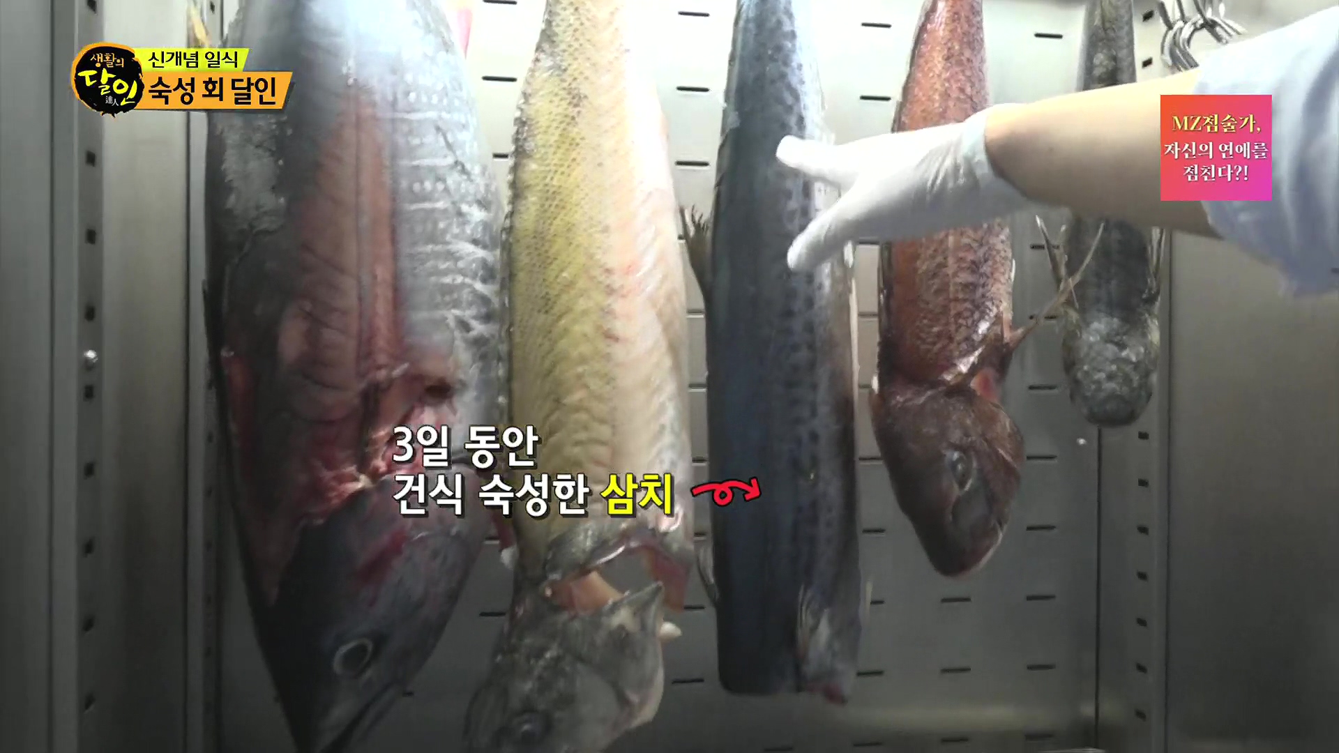 생활의 달인.E939.240610p.H264-F1RST.mp4_20240611_195706.170.jpg