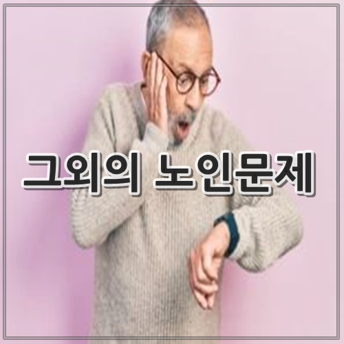 그외의 노인문제