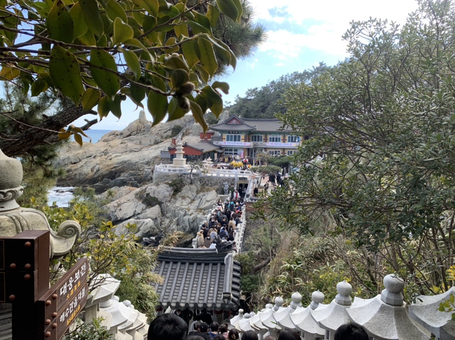 주차 꿀팁 (Hint : 해파랑길 2코스) 부산 여행 필수 코스! 해동용궁사 27