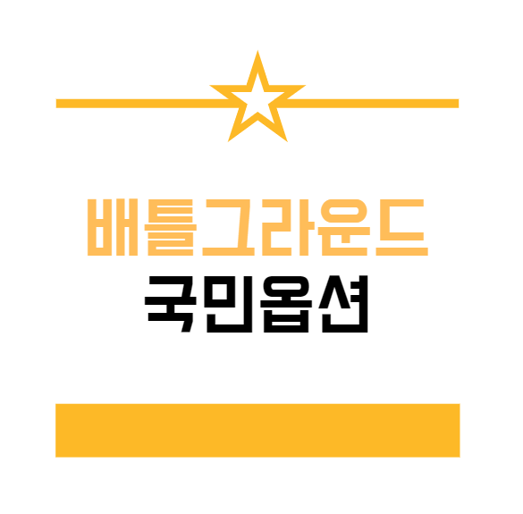  배틀그라운드 국민옵션! 최적화!
