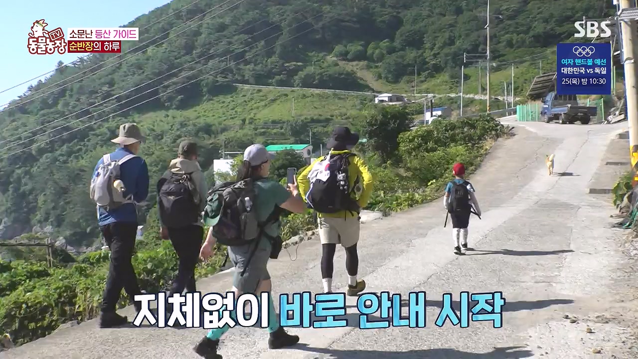 TV 동물농장.E1181.240722p-NEXT.mp4_20240721_165542.846.jpg