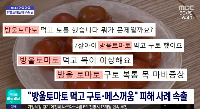 토마토 먹고 구토 증세에 대한 뉴스장면