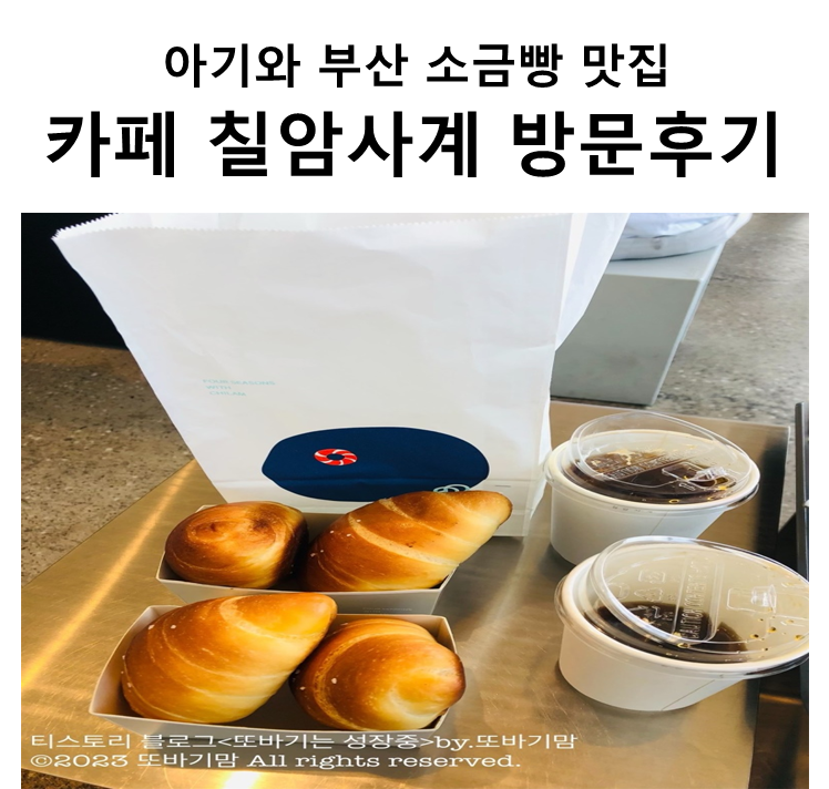  아기와 부산 소금빵 맛집 대형 카페 '칠암사계' 방문 후기 및 정보(feat.이흥용 제과점)