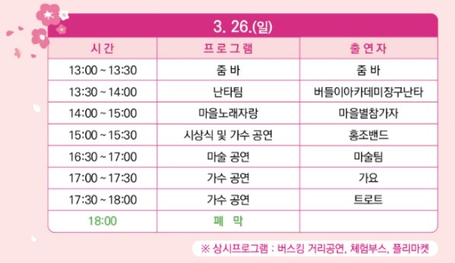 2023 제주 애월읍 왕벚꽃축제 6