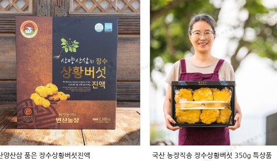 버섯놀이터변산농장 이미지