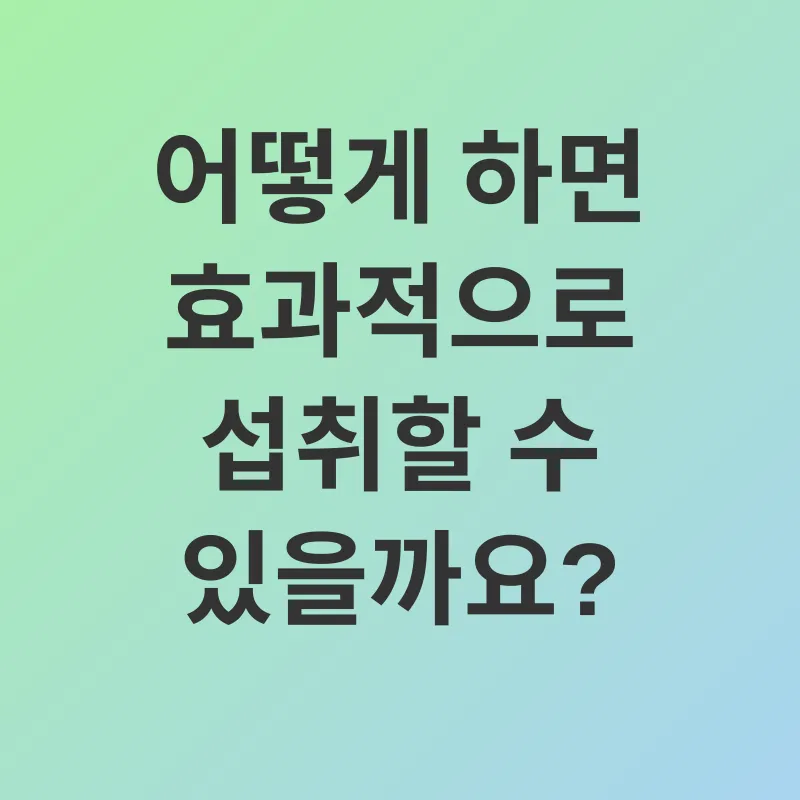 식물성 단백질_2