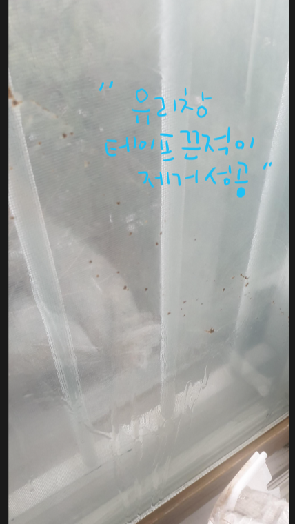  유리창문 테이프 끈적이제거 성공 스티커제거방법