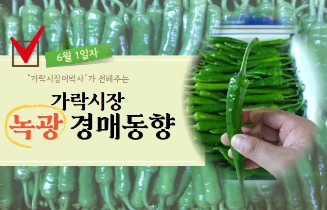  [경매사 일일보고] 6월 1일자 가락시장 녹광 경매동향을 살펴보겠습니다!