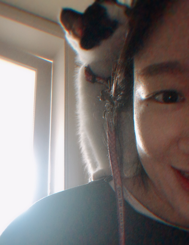 alt 태그