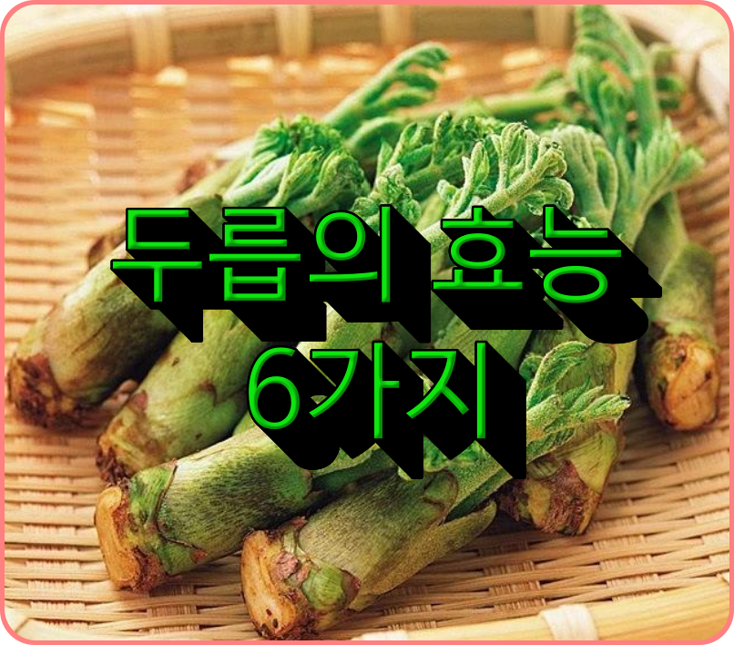 두릅 효능