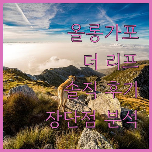올롱가포 호텔 완벽 분석 더 리프 호