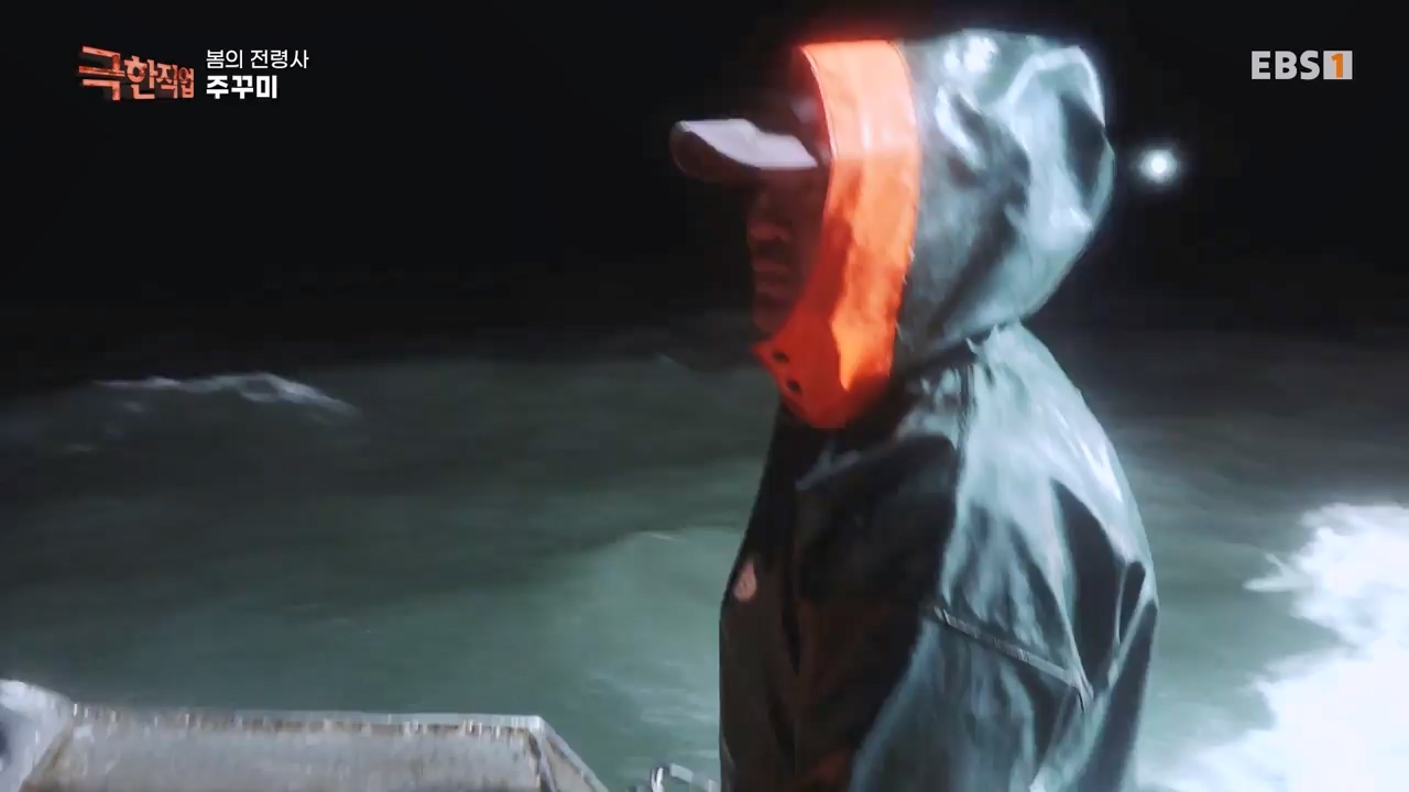 TV - 전 국민의 평생학교 EBS봄의 전령사! 새조개, 미나리, 주꾸미.mp4_20240316_171253.374.jpg