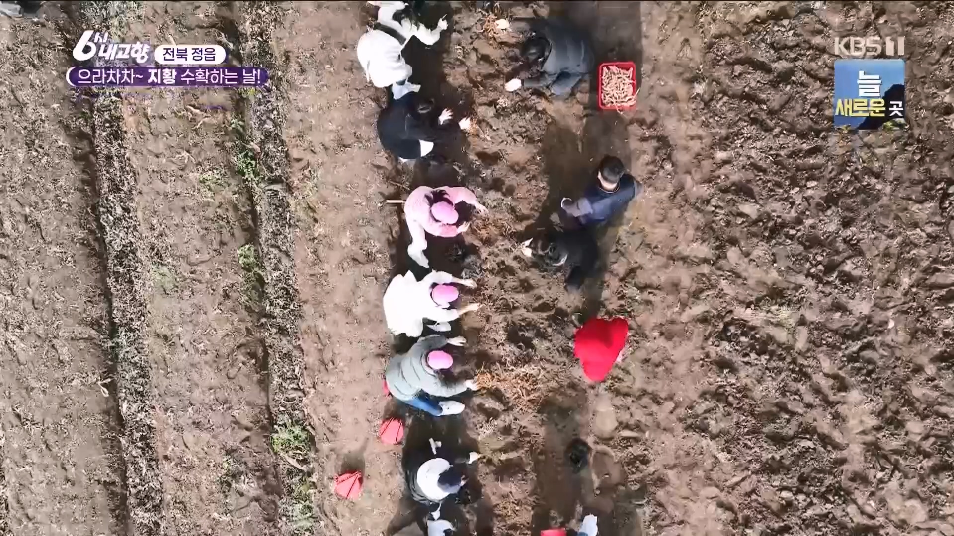 6시 내고향.E7929.231207p.H264-F1RST.mp4_20231208_200346.706.jpg