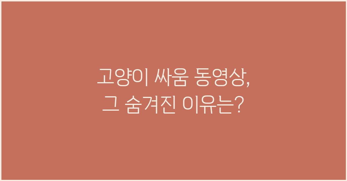 고양이 싸움 동영상