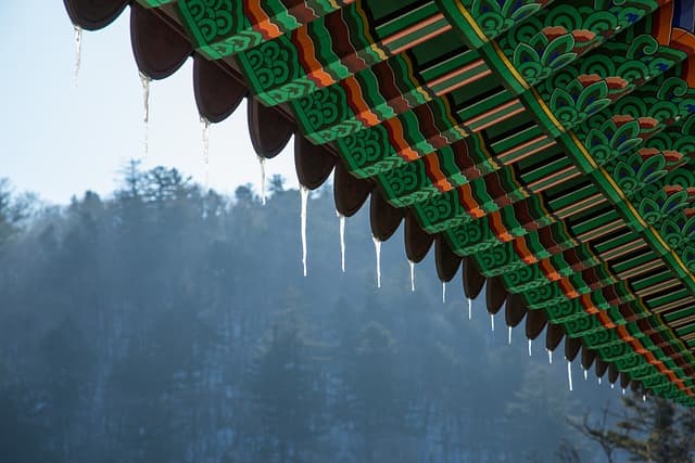 전통 건축의 설계 비밀 : 자연재해를 고려한 지혜