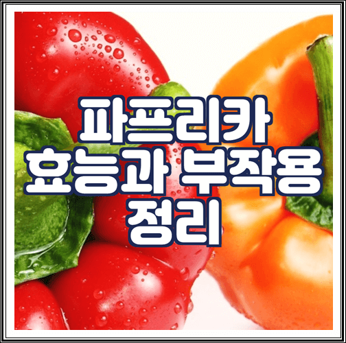  파프리카 효능과 부작용, 보관방법 정리