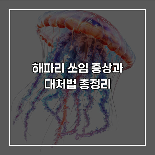 해파리 쏘임 증상과 대처법 총정리