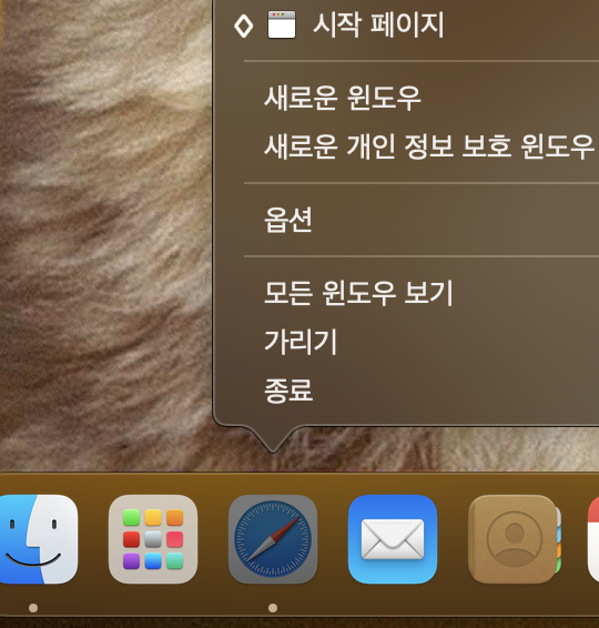 Safari 종료