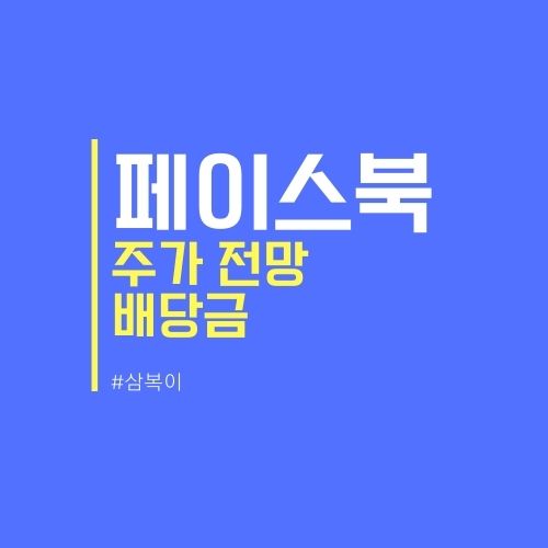 페이스북 주가 전망 및 배당금