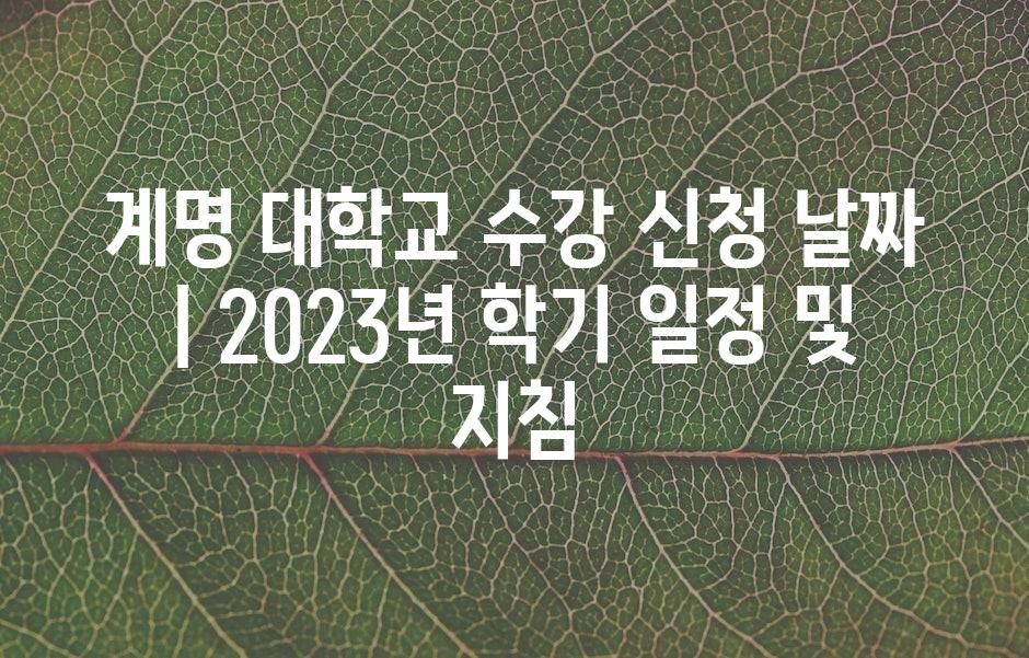 샘플 (43)