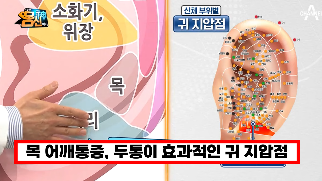 목 어깨통증, 두통을 완화 해주는 귀 지압법