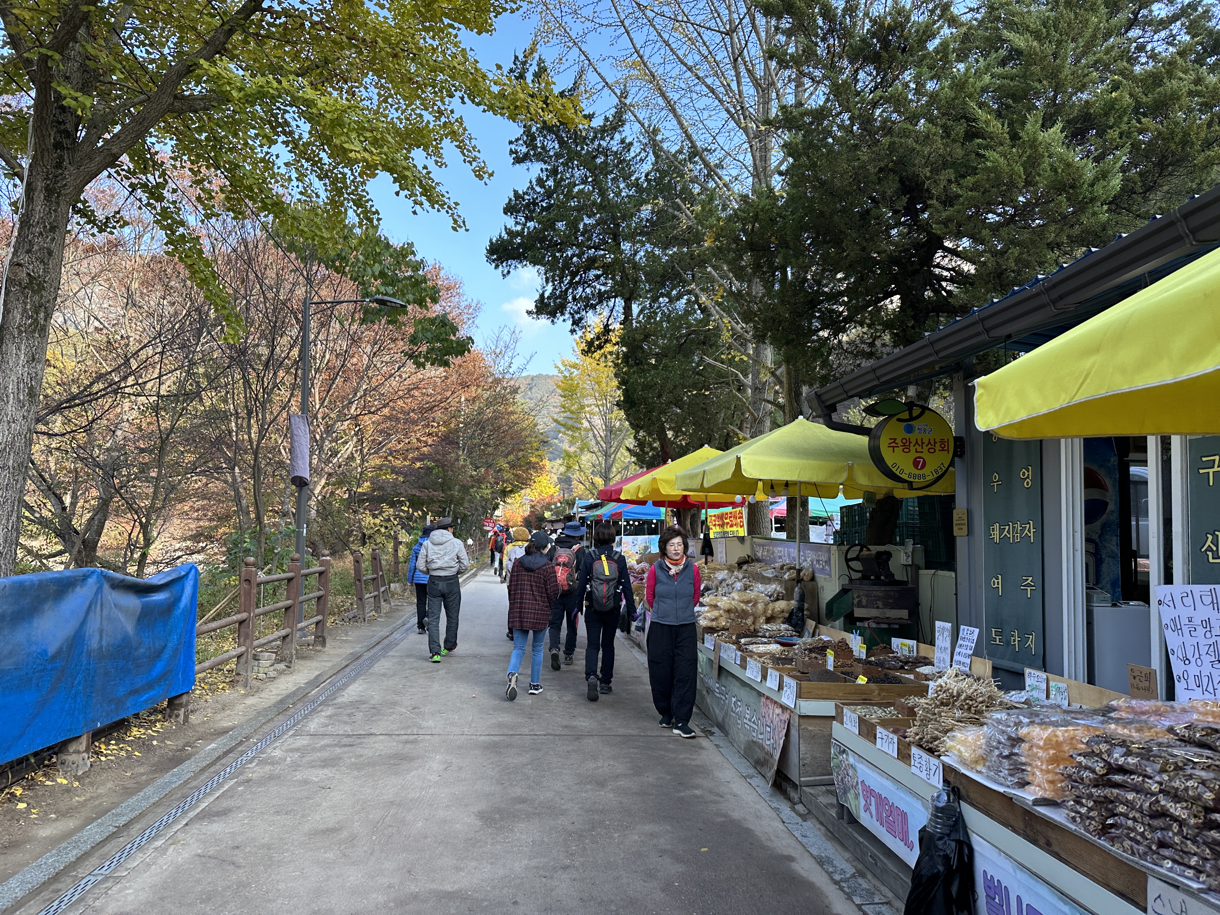 주왕산 가을산행 등산코스