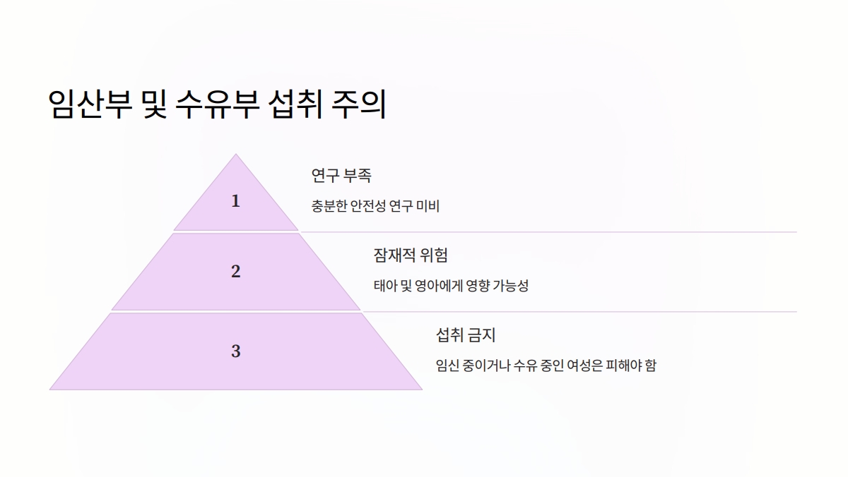 시서스 가루