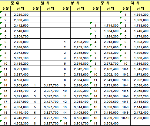  2021 부사관 월급[연봉]  인상률 및 지원하는 방법 [Feat, 꿀 혜택]