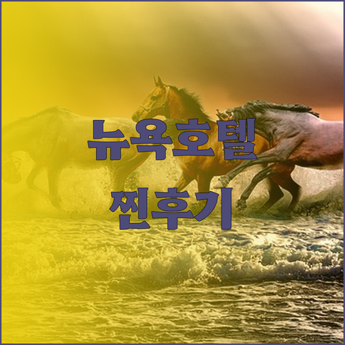 뉴욕 호텔 추천 하얏트 플레이스, 찐