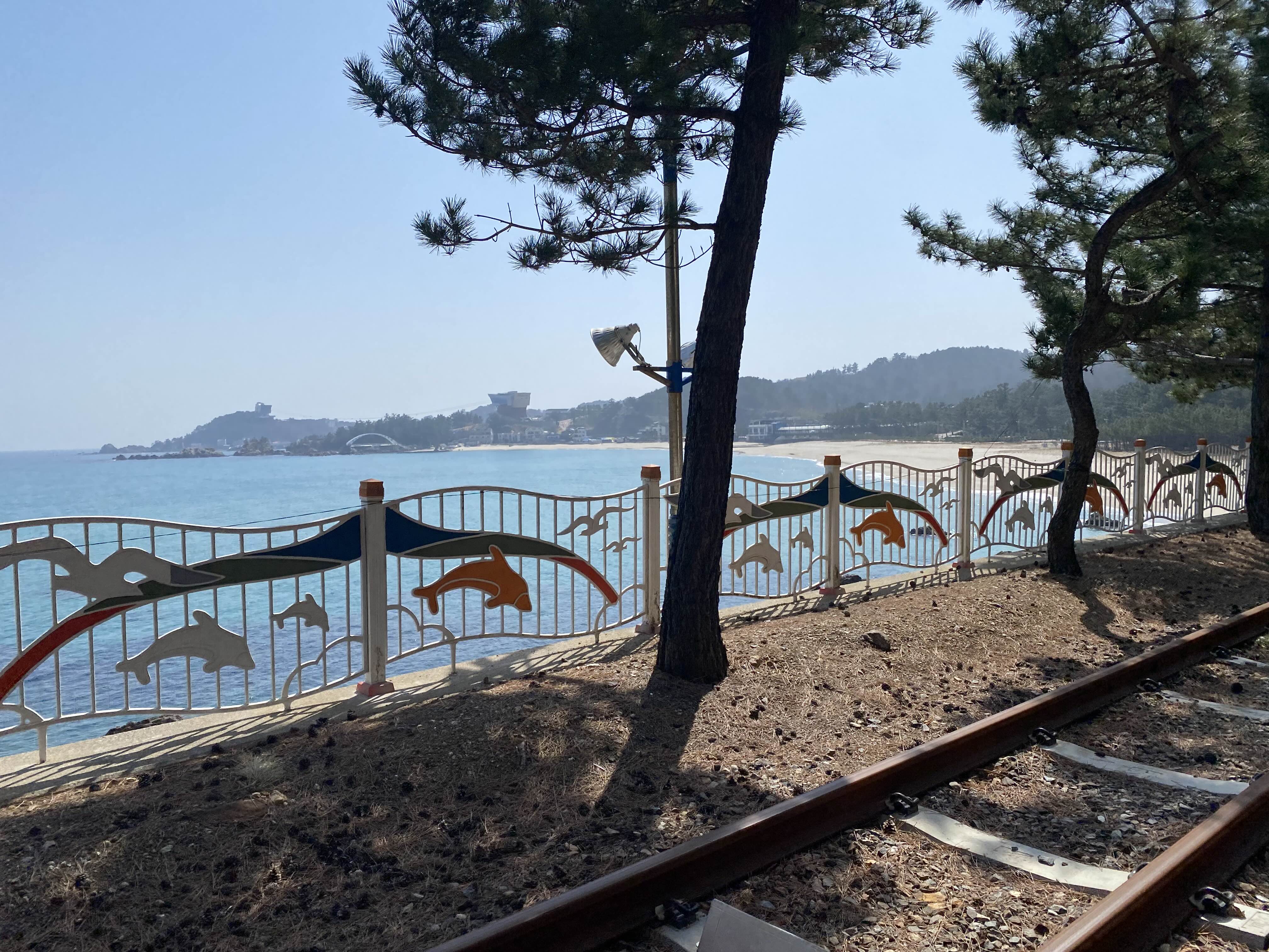삼척 해양레일바이크 이용 꿀팁