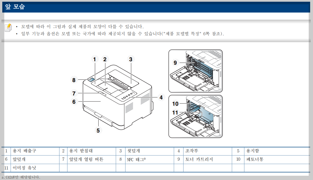 앞모습